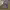 https://res.cloudinary.com/billionhands/image/upload/v1770822809/items/qwvwk807cffgtdrtr2gk.jpg-3cover