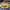 https://res.cloudinary.com/billionhands/image/upload/v1770822823/items/ldcubeib1akrwwtu3527.jpg-1cover