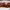 https://res.cloudinary.com/billionhands/image/upload/v1770822879/items/d18amxjq6eoapomu3lxa.jpg-1cover