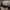 https://res.cloudinary.com/billionhands/image/upload/v1770822880/items/bauozswhh3adigp6yn1m.jpg-0cover
