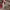 https://res.cloudinary.com/billionhands/image/upload/v1770822888/items/akncldyqhwquu00i5ifs.webp-3cover