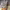 https://res.cloudinary.com/billionhands/image/upload/v1770822888/items/evvavpxkmi29cvj8ffyg.jpg-0cover