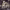 https://res.cloudinary.com/billionhands/image/upload/v1770822910/items/hsl8xzekoha4miozbmhm.jpg-3cover