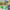 https://res.cloudinary.com/billionhands/image/upload/v1770822912/items/h2dtfgwpk5w0rgp0bzl2.jpg-0cover