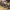 https://res.cloudinary.com/billionhands/image/upload/v1770822912/items/tusavnjtobjwselsevxc.jpg-2cover
