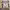 https://res.cloudinary.com/billionhands/image/upload/v1770822923/items/cpadrlkxhcebrixnyias.png-3cover