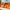 https://res.cloudinary.com/billionhands/image/upload/v1770822935/items/m7otciss6qumkkkqrklk.jpg-0cover
