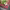 https://res.cloudinary.com/billionhands/image/upload/v1770822948/items/vgrsth47uyqme38skjqs.webp-1cover