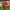 https://res.cloudinary.com/billionhands/image/upload/v1770822957/items/abwaefzgwcqr2dmsnek3.jpg-2cover