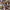 https://res.cloudinary.com/billionhands/image/upload/v1770822992/items/xfyckibizhezvtjya86c.jpg-0cover