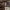 https://res.cloudinary.com/billionhands/image/upload/v1770823000/items/nueeobpiljjxnvljaqpw.jpg-0cover