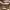 https://res.cloudinary.com/billionhands/image/upload/v1770823001/items/vfzx9wfkj1v0psyoyknp.jpg-2cover