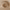 https://res.cloudinary.com/billionhands/image/upload/v1770823003/items/uvyakln2f0pmsyw7giel.jpg-3cover
