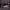 https://res.cloudinary.com/billionhands/image/upload/v1770823005/items/cgsiec7q9s1z638xtgol.jpg-0cover