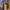 https://res.cloudinary.com/billionhands/image/upload/v1770823041/items/nni9kbklxostfs6pqpia.jpg-0cover