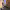 https://res.cloudinary.com/billionhands/image/upload/v1770823052/items/yidhrm0lckd0wz8fikhj.jpg-2cover