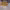 https://res.cloudinary.com/billionhands/image/upload/v1770823065/items/d9kicfuj04pu3srg5jw0.jpg-1cover