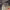 https://res.cloudinary.com/billionhands/image/upload/v1770823105/items/mqtst5tzjbormpnandk5.webp-1cover