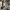 https://res.cloudinary.com/billionhands/image/upload/v1770823106/items/yywt52bhuksnnzn6tnz2.webp-3cover