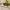 https://res.cloudinary.com/billionhands/image/upload/v1770823110/items/qr55oyjlbd8dofjg0och.jpg-2cover