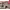 https://res.cloudinary.com/billionhands/image/upload/v1770823139/items/iedmfw0pkwt45lb7lohc.jpg-0cover