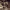 https://res.cloudinary.com/billionhands/image/upload/v1770823168/items/oodtyvapnukjxwgnksv4.jpg-2cover