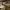 https://res.cloudinary.com/billionhands/image/upload/v1770823185/items/d4ntwdiqvymnt8xpqe6n.jpg-3cover