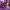 https://res.cloudinary.com/billionhands/image/upload/v1770823186/items/ykjam2hm6zwzrpsnf8jg.webp-1cover