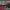 https://res.cloudinary.com/billionhands/image/upload/v1770823197/items/htizyvibti413yb26c2z.jpg-2cover