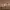 https://res.cloudinary.com/billionhands/image/upload/v1770823225/items/p1bsmmldc0odjsjnmngz.jpg-0cover