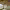https://res.cloudinary.com/billionhands/image/upload/v1770823276/items/zlwbfgnystdp2qrthk6g.webp-3cover