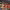 https://res.cloudinary.com/billionhands/image/upload/v1770823307/items/psm7xjndiivrxakuhqth.jpg-0cover