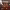 https://res.cloudinary.com/billionhands/image/upload/v1770823309/items/go6ftc9jhulp3csswskh.webp-2cover