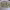 https://res.cloudinary.com/billionhands/image/upload/v1770823309/items/zmk16qczsuirveuo9kww.jpg-3cover