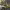https://res.cloudinary.com/billionhands/image/upload/v1770823312/items/klvrbfqxuwcnggxwhizu.jpg-1cover