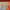 https://res.cloudinary.com/billionhands/image/upload/v1770823322/items/hlu8pth1zkdidhnk3csc.jpg-3cover