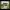https://res.cloudinary.com/billionhands/image/upload/v1770823322/items/ssoexdiwbfooracmgwft.jpg-0cover