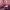 https://res.cloudinary.com/billionhands/image/upload/v1770823326/items/i1ozgwidwsjkcsjh4mep.jpg-1cover