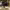 https://res.cloudinary.com/billionhands/image/upload/v1770823329/items/sgy8umb6mx5f1yd4nayy.jpg-0cover