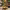 https://res.cloudinary.com/billionhands/image/upload/v1770823355/items/dthq9bn4ryeesnyqkjk5.webp-3cover