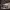 https://res.cloudinary.com/billionhands/image/upload/v1770823359/items/xkhigpkq0vfr1283jqhm.jpg-0cover