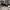 https://res.cloudinary.com/billionhands/image/upload/v1770823360/items/jidd1agclzrbygg4b6gr.jpg-3cover