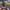 https://res.cloudinary.com/billionhands/image/upload/v1770823362/items/cy5jpexzg0nqihqhiw4m.jpg-1cover