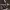 https://res.cloudinary.com/billionhands/image/upload/v1770823362/items/vydcaihb1w1mtpollaqh.jpg-2cover