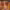 https://res.cloudinary.com/billionhands/image/upload/v1770823378/items/fewbhrp5gckhfen8k6kq.jpg-1cover