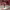 https://res.cloudinary.com/billionhands/image/upload/v1770823487/items/ynhuzavzx09jbovf8pkr.jpg-1cover