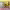 https://res.cloudinary.com/billionhands/image/upload/v1770823516/items/pqhc3gjjatphrhz2nx4c.png-2cover