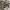 https://res.cloudinary.com/billionhands/image/upload/v1770823521/items/x55a8v4qawav5ggk4uud.jpg-0cover