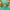 https://res.cloudinary.com/billionhands/image/upload/v1770823532/items/m64sp2b2bs4hv45rlty9.jpg-2cover