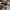 https://res.cloudinary.com/billionhands/image/upload/v1770823538/items/ama5slzft1lnfhtxnlh9.jpg-2cover